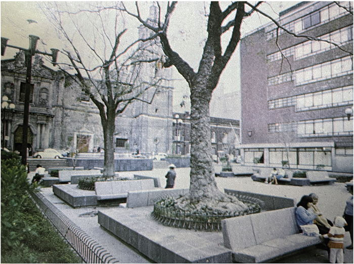 Edmundo Rodríguez, bancos de concreto y jardineras en recinto para la plaza de la Concepción Cuepopan, Centro Histórico, Ciudad de México.
