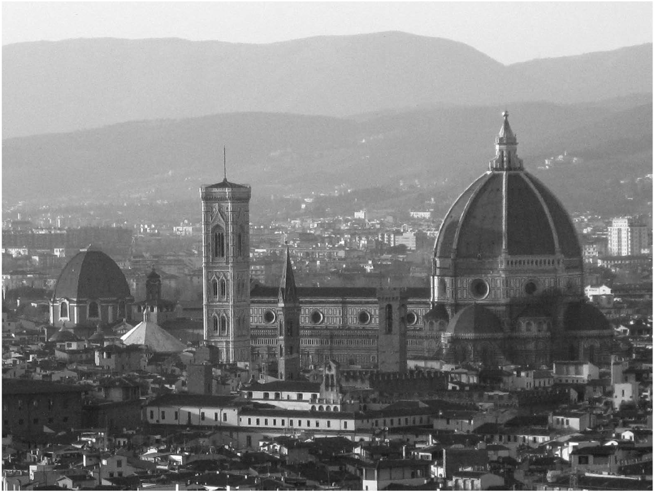 Vista de la ciudad de Florencia, c�pula brunelleschiana de Santa Maria del Fiore. Fotograf�a: PSR, 2015.