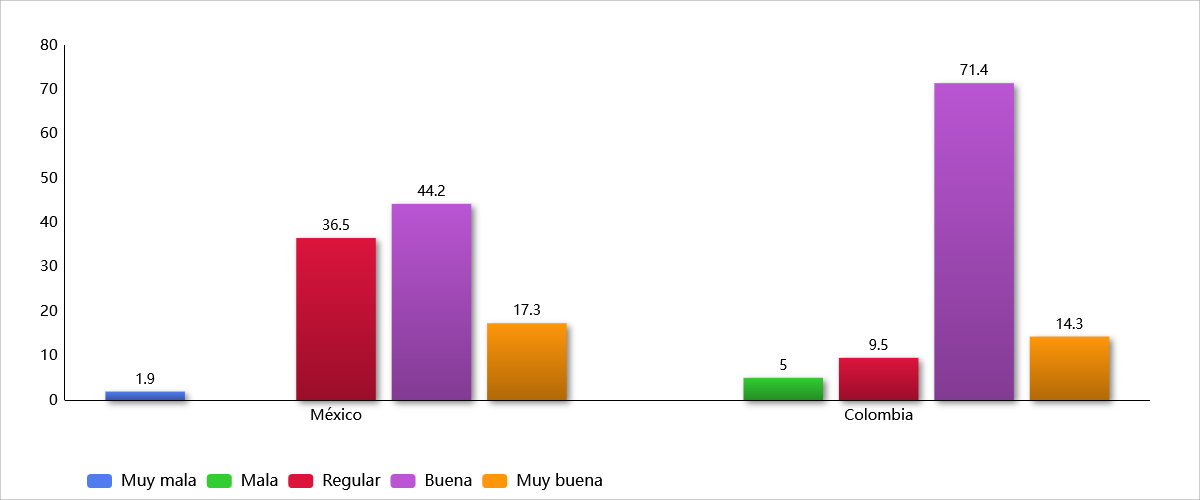 Percepci�n de la calidad de la ense�anza recibida enfocada a la creaci�n de im�genes gr�ficas (perspectiva alumnos mexicanos y colombianos)