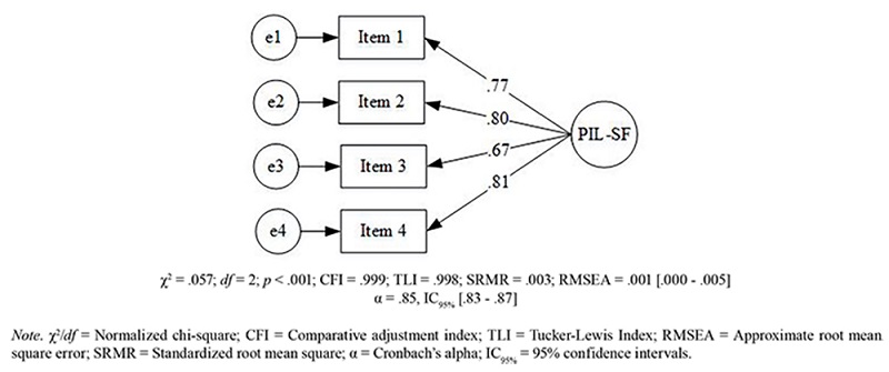 Confirmatory Factor Analysis of PIL-SF with WLSMV estimation