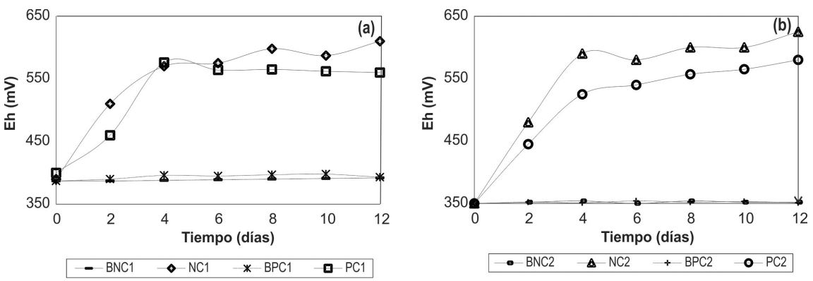 Comportamiento del Eh vs. Tiempo. (a) hierro total: 200 mg/L (b) hierro
total: 1200 mg/L. P: ATCC 23270, N: aislado bacteriano compatible con
Acidithiobacillus ferrooxidans, C1: 200 mg/L, C2: 1200 mg/L, B: control
negativo.