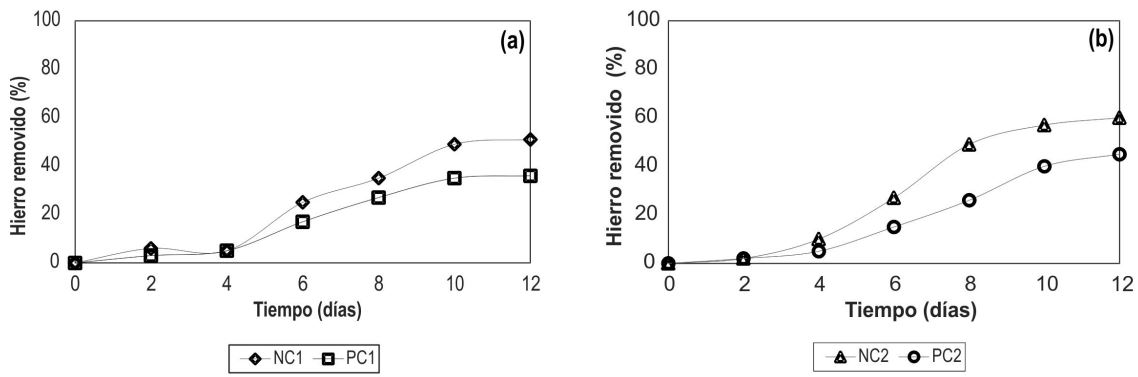 Porcentaje de hierro removido vs. Tiempo. (a) hierro total: 200 mg/L (b)
hierro total: 1200 mg/L. P: ATCC 23270, N: aislado bacteriano compatible con
Acidithiobacillus ferrooxidans, C1: 200 mg/L de Fe2+, C2: 1200 mg/L,
B: control negativo.