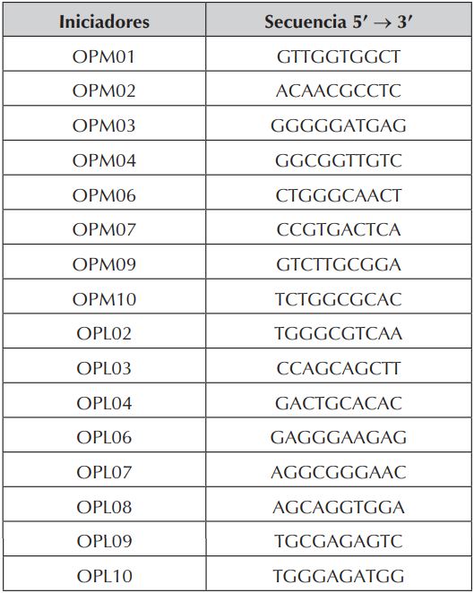 Secuencias de los decámeros utilizados