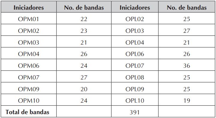 Total de bandas obtenidas con cada uno de los iniciadores usados.