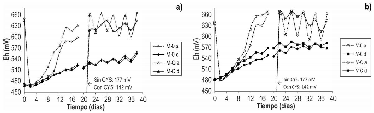 Comportamiento del Eh vs. tiempo antes (a) y despu&eacute;s (d) de cada irrigaci&oacute;n
en la etapa de biodepiritizaci&oacute;n, utilizando 0 mg Cys/L (0) y 60 mg Cys/L (C)
en los ensayos: a) &ldquo;Mina Vieja&rdquo; (M) y b) &ldquo;Vampiro&rdquo; (V).

 