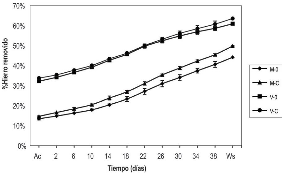 Comportamiento del hierro removido vs. tiempo durante todas las etapas del
proceso. M: &ldquo;Mina Vieja&rdquo;, V: &ldquo;Vampiro&rdquo;, 0: 0 mg Cys/L, C: 60 mg Cys/L, Ac:
etapa de acidificaci&oacute;n y Ws: etapa de lavado.
