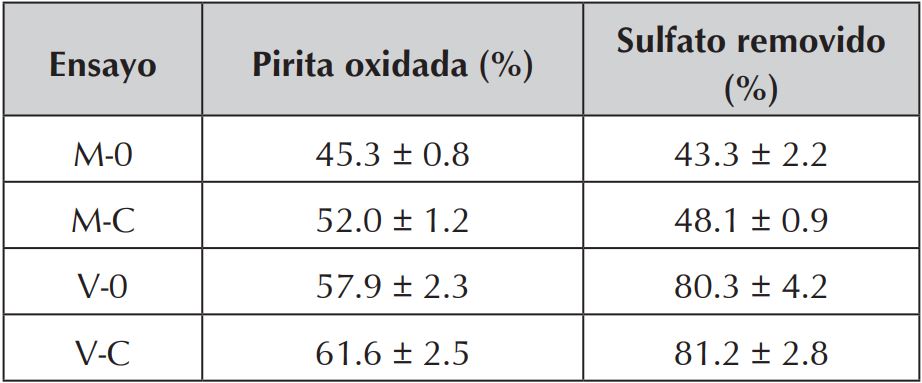 Pirita oxidada y sulfato removido al final de los procesos. M: &ldquo;Mina Vieja&rdquo;,
V: &ldquo;Vampiro&rdquo;, 0: 0 mg Cys/L y C: 60 mg Cys/L.