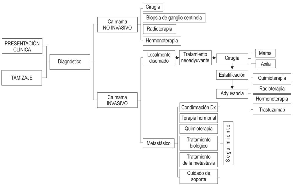 Algoritmo de manejo general en pacientes con Cáncer de seno. INC, 2013.