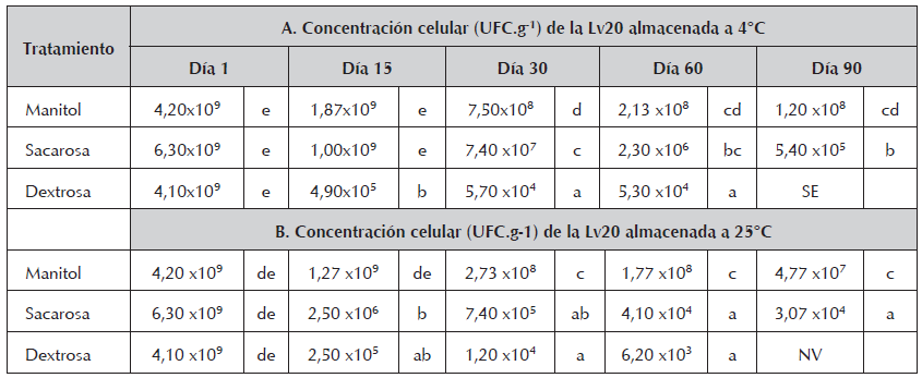 Evaluación en el tiempo de la
concentración celular de prototipos de formulación sólida con la cepa R.
mucilaginosa