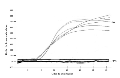 Análisis de especificidad de la sonda Taqman de granulina.
GVs (granulovirus), NPVs (nucleopoliedrovirus).