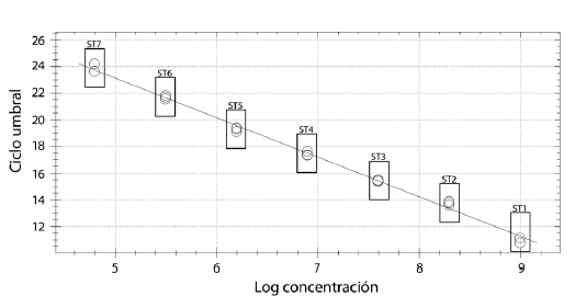 Curva patrón de q-PCR basada
en 7 estándares del gen de granulina.
