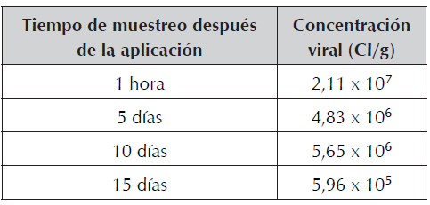 Promedios de concentración
viral (CI/g) detectada por q-PCR en el suelo de la parcela después de
aplicación de bioplaguicida a base de granulovirus de T. solanivora.