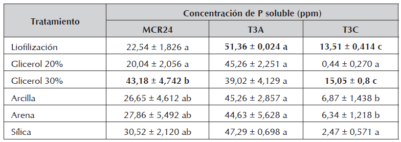 Evaluaci&oacute;n de la
solubilizaci&oacute;n de f&oacute;sforo a partir de los tratamientos