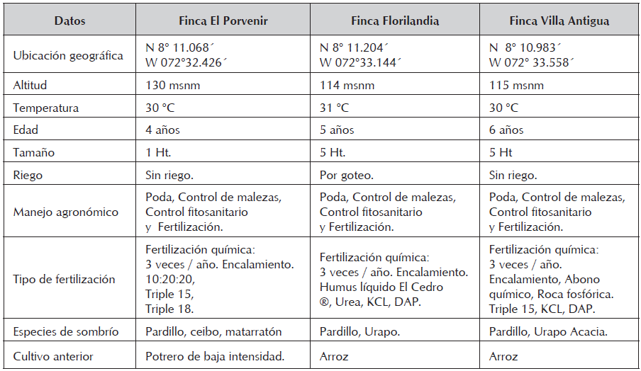 Caracterizaci&oacute;n de los
cultivos de cacao de las fincas estudio.