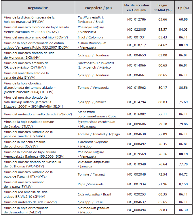 Porcentaje de identidad a nivel de nucle&oacute;tidos obtenido al
comparar el begomovirus aislado de cultivos de maracuy&aacute; amarillo (Passiflora edulis f. flavicarpa)
ubicados en el Valle del Cauca (FRMara10A) con el componente A de begomovirus
reportados en la base de datos GenBank.