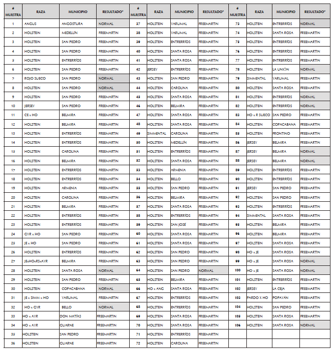 Resultados obtenidos del
an&aacute;lisis molecular del gen SRY de 106 muestras de terneras nacidas por parto
m&uacute;ltiple heterosexual en Colombia.