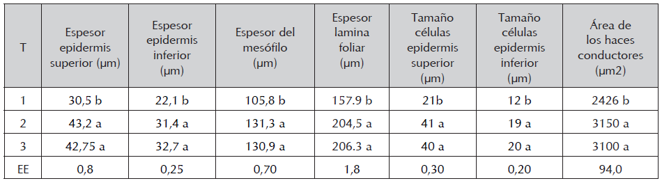 An&aacute;lisis cuantitativo foliar y del &aacute;rea de los haces conductores del tallo en plantas in vitro de D. alata clon Caraque&ntilde;o conservadas, regeneradas y en fase de multiplicaci&oacute;n.