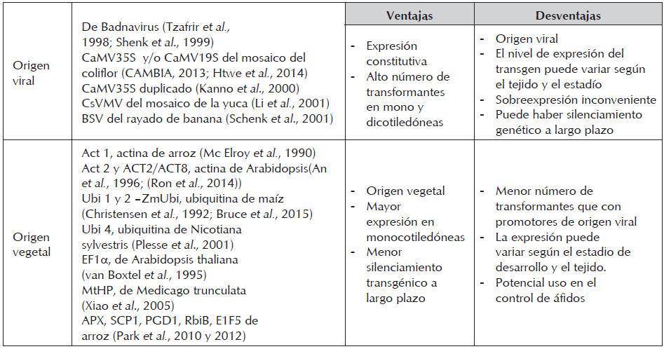 Promotores constitutivos.