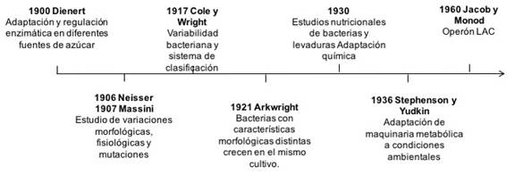 Línea de tiempo de los principales eventos que permitieron evidenciar la evolución bacteriana.