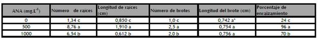Efecto de diferentes niveles de ANA, sobre el número y longitud de raíces, número y longitud de brotes produci dos a partir de esquejes de Caña Agria a los 10 días de inducido el enraizamiento.