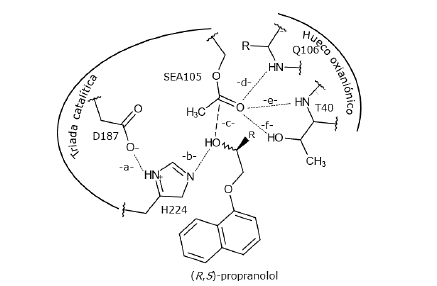 Modelo de los complejos de Michaelis CalB-propranolol en el paso enantioselectivo de la reacci&oacute;n de acilaci&oacute;n (Escorcia et al., 2014; Escorcia, Sen, Daza, Doerr, & Thiel, 2017). Las l&iacute;neas punteadas indican los enlaces de hidr&oacute;geno claves en el mecanismo catal&iacute;tico. La l&iacute;nea discontinua indica distancia entre el ox&iacute;geno del grupo hidroxilo del propranolol y el carbono electrodeficiente de SEA105 (-c-). Todas las longitudes de enlace indicadas deben ser menores o iguales a 4,0 A. (ver texto). 