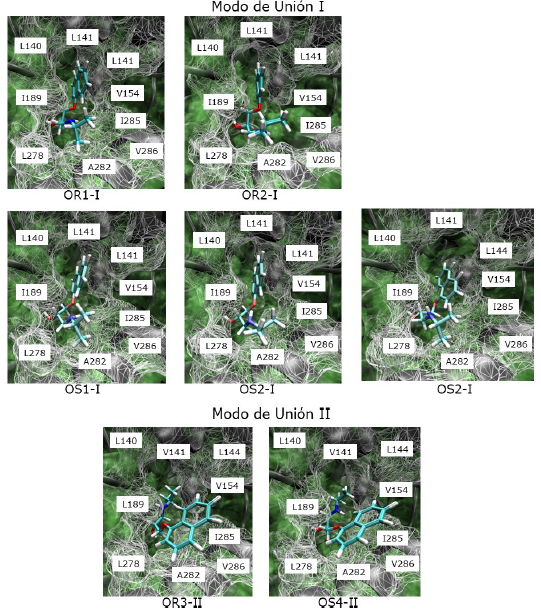 1. Representaci&oacute;n gr&aacute;fica de los MCC entre (R,5)-propranolol y AcetilCalB. Corresponden a los mismos MCC reportados por Escorcia y colaboradores (2013). La nomenclatura usada en esta investigaci&oacute;n var&iacute;a ligeramente para una mejor comprensi&oacute;n por parte del lector. La nomenclatura actual y la usada previamente, en par&eacute;ntesis, es: OR1-I (ORI), OR2-I (ORIX), OR3-II (ORIV), OS1-I (OSI), OS2-I (OSII), OS3-I (OSVI) y OS4-II (OSIV-II).