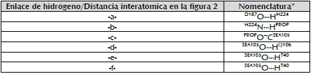 Nomenclatura de los enlaces de hidr&oacute;geno y distancias interat&oacute;micas importantes para la cat&aacute;lisis en la Acilaci&oacute;n del (R,5)-propranolol catalizada por
