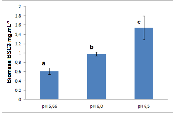 Efecto de pH sobre la producci&oacute;n de biomasa de BSC3. Letras comunes no difieren estad&iacute;sticamente seg&uacute;n el Test de Tukey (p<0,05).
