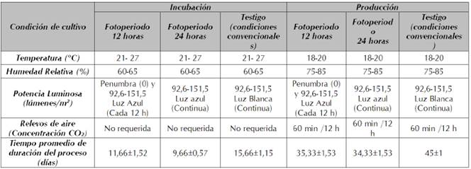 Condiciones de cultivo para crecimiento y desarrollo del hongo G. lucidum bajo el estímulo de luz azul en comparación con las condiciones convencionales.