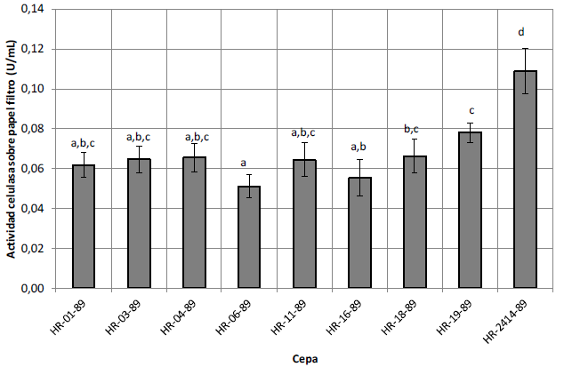 Actividad enzim&aacute;tica sobre papel filtro del complejo producido por cepas de Trichoderma spp sobre residuos de palma como sustrato. Barras blancas corresponden a prote&iacute;na soluble y las negras a actividad enzim&aacute;tica. Las barras de error corresponden al valor de desviaci&oacute;n est&aacute;ndar (n=8). Diferentes letras sobre cada columna indican diferencias significativas entre las actividades de las cepas (p <0.05).