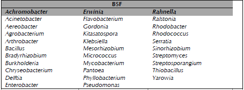 Principales géneros bacterianos solubilizadores de fosfato.