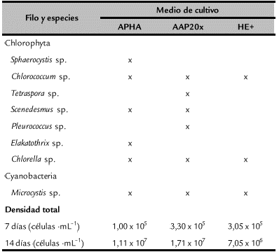 Presencia y densidad promedio de algas en las frondas despu&eacute;s de aplicar el m&eacute;todo de limpieza de Acreman.