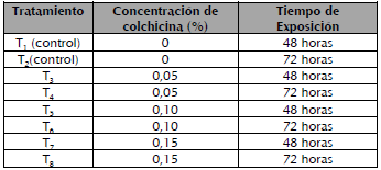 Vitroplantas de Aloe vera tratadas con diferentes concentraciones de colchicina y tiempo de exposici&oacute;n.