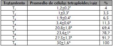 Promedio de c&eacute;lulas poliploides en vitroplantas de Aloe vera (L.) con diferentes tratamientos de colchicina. Va lores con distintas letras indican diferencias significativas se g&uacute;n prueba de Tukey (p<0,05).
