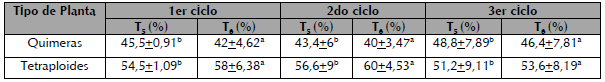 N&uacute;mero de plantas quimeras y tetraploides con los T5 y T6 en cada ciclo de replicaci&oacute;n. Valores con distintas letras indi can diferencias altamente significativas seg&uacute;n prueba de Tukey (p<0,01).