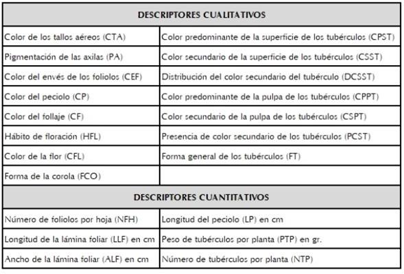 Descriptores cualitativos y cuantitativos utilizados en la caracterizaci&oacute;n morfol&oacute;gica de Oxalis tuberosa.