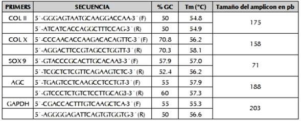 Secuencia de cebadores