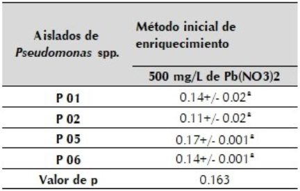 An&aacute;lisis de varianza entre aislados de Pseudomonas spp. expuestos a una concentraci&oacute;n de 500 mg/L de Pb(NO3)2 en ensayo de bioestimulaci&oacute;n.