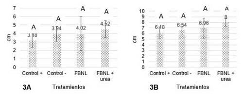 Efecto de la aplicación de FBNL sobre la altura en cm de brotes de Brachiaria decumbens a los 20 días (Fig 3A) y a los 36 días (Fig 3B). Medias con diferente letra son significativamente diferentes.