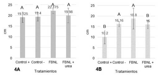 Efecto de la aplicación de FBNL sobre la longitud en cm de raíces de maíz (Zea mays) (Fig 4A) y Brachiaria. decumbens (Fig 4B). Medias con diferente letra son significativamente diferentes.