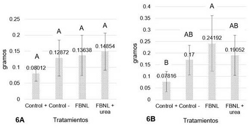 Efecto de la aplicación de FBNL sobre el peso seco en gramos de brotes (Fig 6A) y raíces (Fig 6B) de Brachiaria decumbens. Medias con diferente letra son significativamente diferentes.