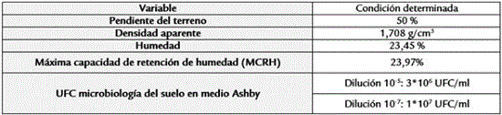 Mediciones preliminares del terreno y suelo muestreado
