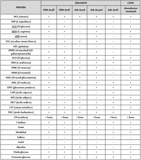 Caracterización bioquímica de aislados compatibles con FBNL