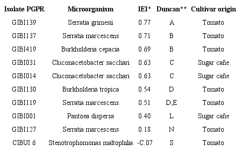 Isolates of PGPR selected by the IEI obtained in the dual tests.