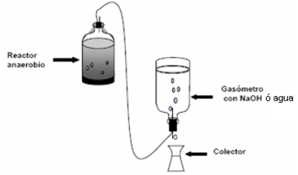 Sistema experimental para medir el metano (NaOH) o el biog&aacute;s (H2O), producido durante la digesti&oacute;n anaerobia.