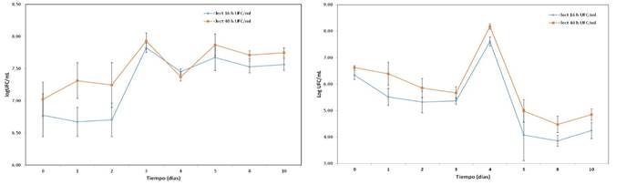 Recuento de BAL (izquierda) y levaduras (derecha) durante el proceso de fermentaci&oacute;n con la biomasa de pulpa de caf&eacute;