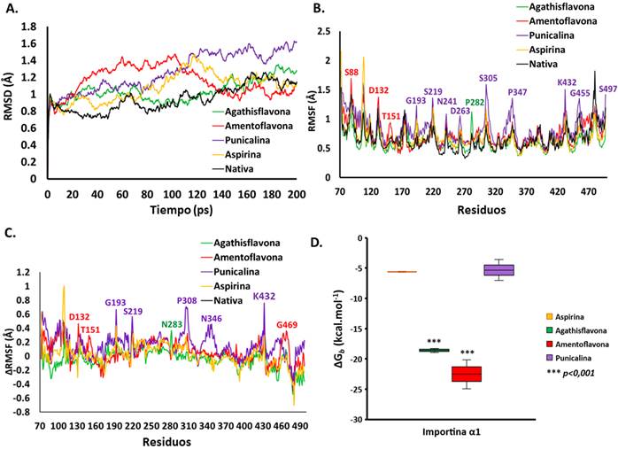 A. Ra&iacute;z de la desviaci&oacute;n cuadr&aacute;tica media (RMSD) de los complejos. B. Ra&iacute;z de la fluctuaci&oacute;n cuadr&aacute;tica media (RMSF) de los complejos formados. C. Variaci&oacute;n de la ra&iacute;z de la fluctuaci&oacute;n cuadr&aacute;tica media (ΔRMSF) de los complejos. D. Energ&iacute;a libre de Gibbs de uni&oacute;n (ΔGb ) de complejos en las simulaciones.