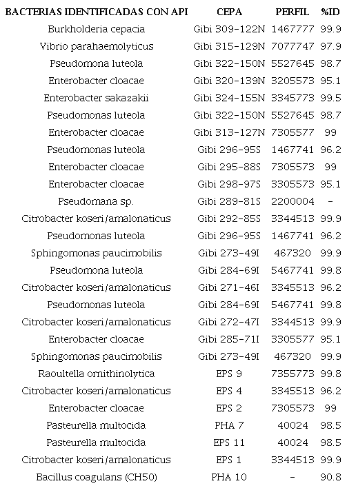 Aislados identificados por pruebas API®
