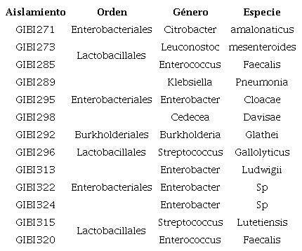 Identificación molecular de bacterias productoras de biopolímeros con el gen ribosomal 16S.
