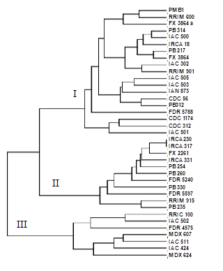 Dendograma obtenido mediante el algoritmo de agrupamiento UPGMA a partir del coeficiente de similitud de Nei (1987).